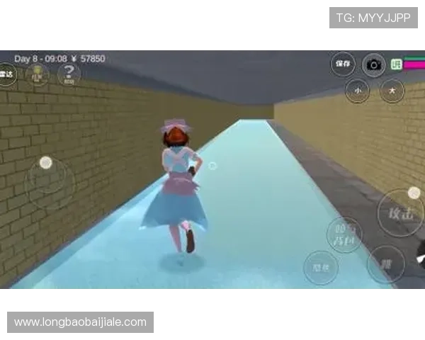 如何在电脑上快速安装PP模拟器电脑版,解决常见问题确保游戏流畅运行 如何在电脑上快速安装PP模拟器电脑版,解决常见问题确保游戏流畅运行