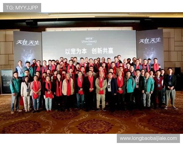 选择K8凯发电游官网的理由及其在行业中的竞争优势分析