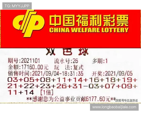 百家乐单跳玩法的优势与风险分析帮助玩家理性投注提升整体游戏策略水平