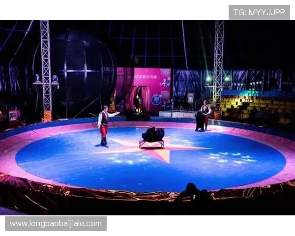 真人滚球娱乐平台丰富的游戏种类，满足不同玩家的多样化娱乐需求