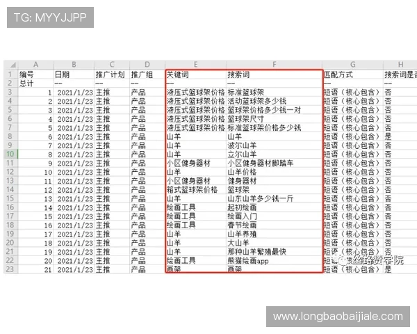 百家乐记路软件在实战中的应用技巧与常见误区全面解析